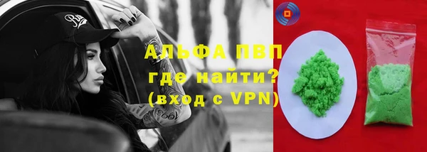 тгк Магас