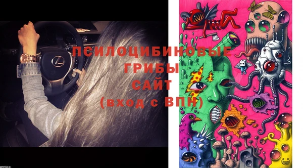 прущая мука Медногорск