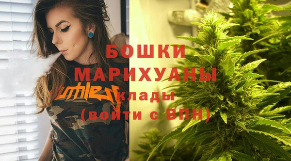 тгк Магас