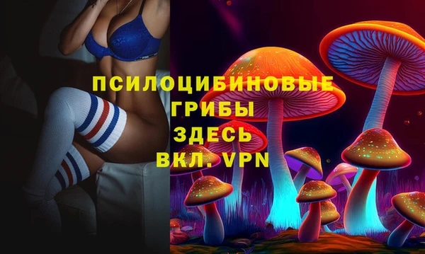 гашик Магадан
