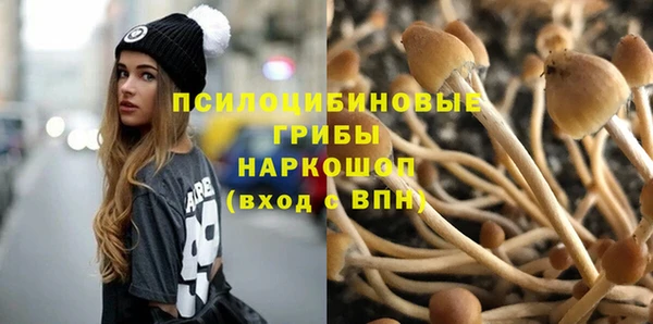 тгк Магас