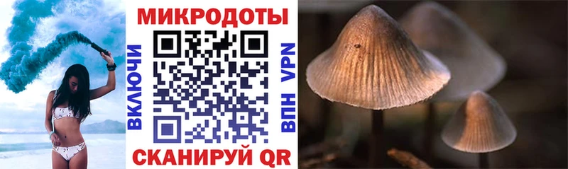 Псилоцибиновые грибы мухоморы  хочу   Находка 