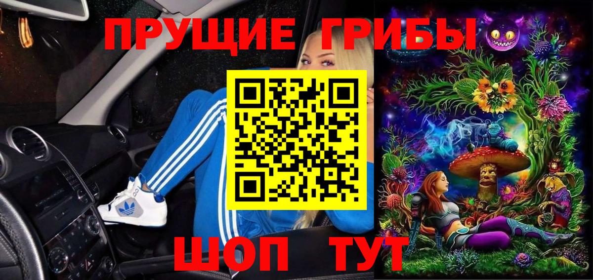 Псилоцибиновые грибы Psilocybe Находка